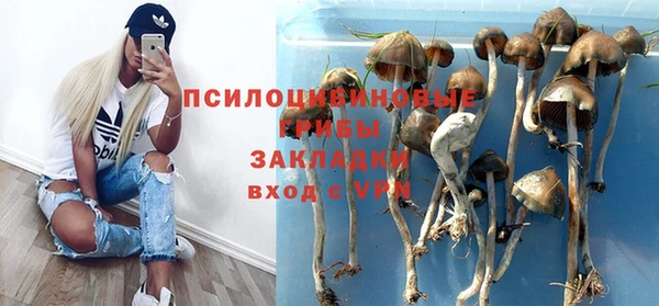 mix Белокуриха